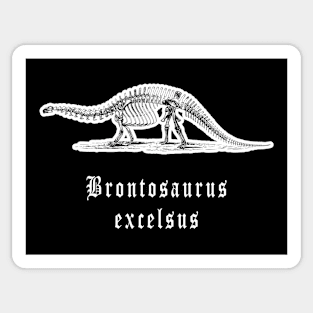 🦖 Fossil Skeleton of a Brontosaurus excelsus Dinosaur Sticker